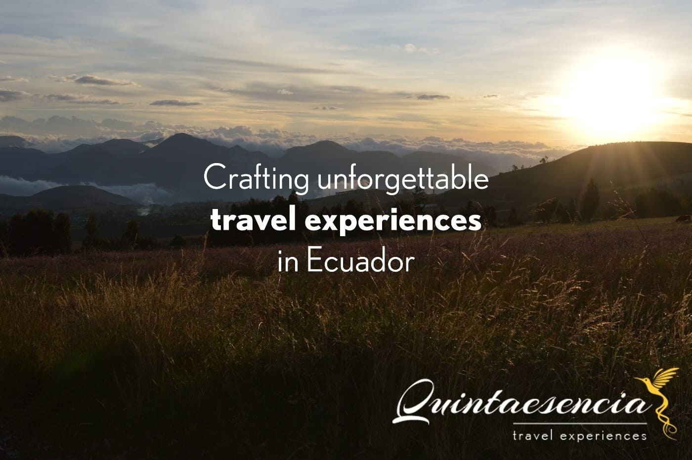 Banner Quintaesencia